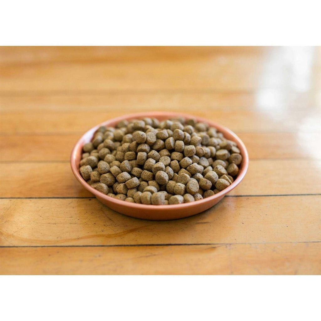 Dry Dog Food A238174