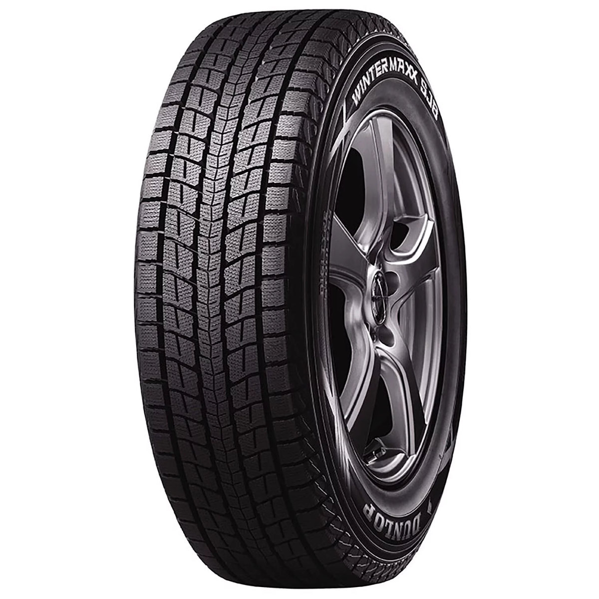 Winter Light Truck Tire M9522