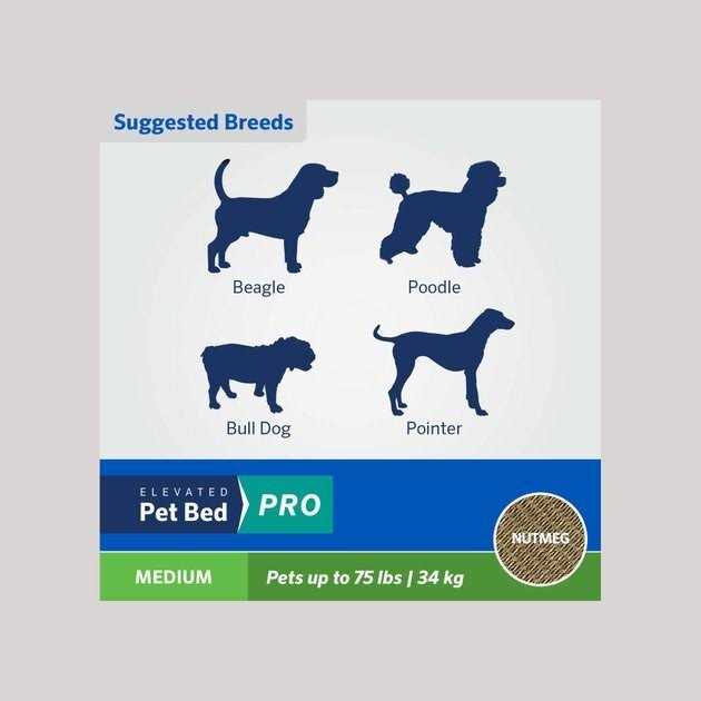 Elevated Pet Bed K56477