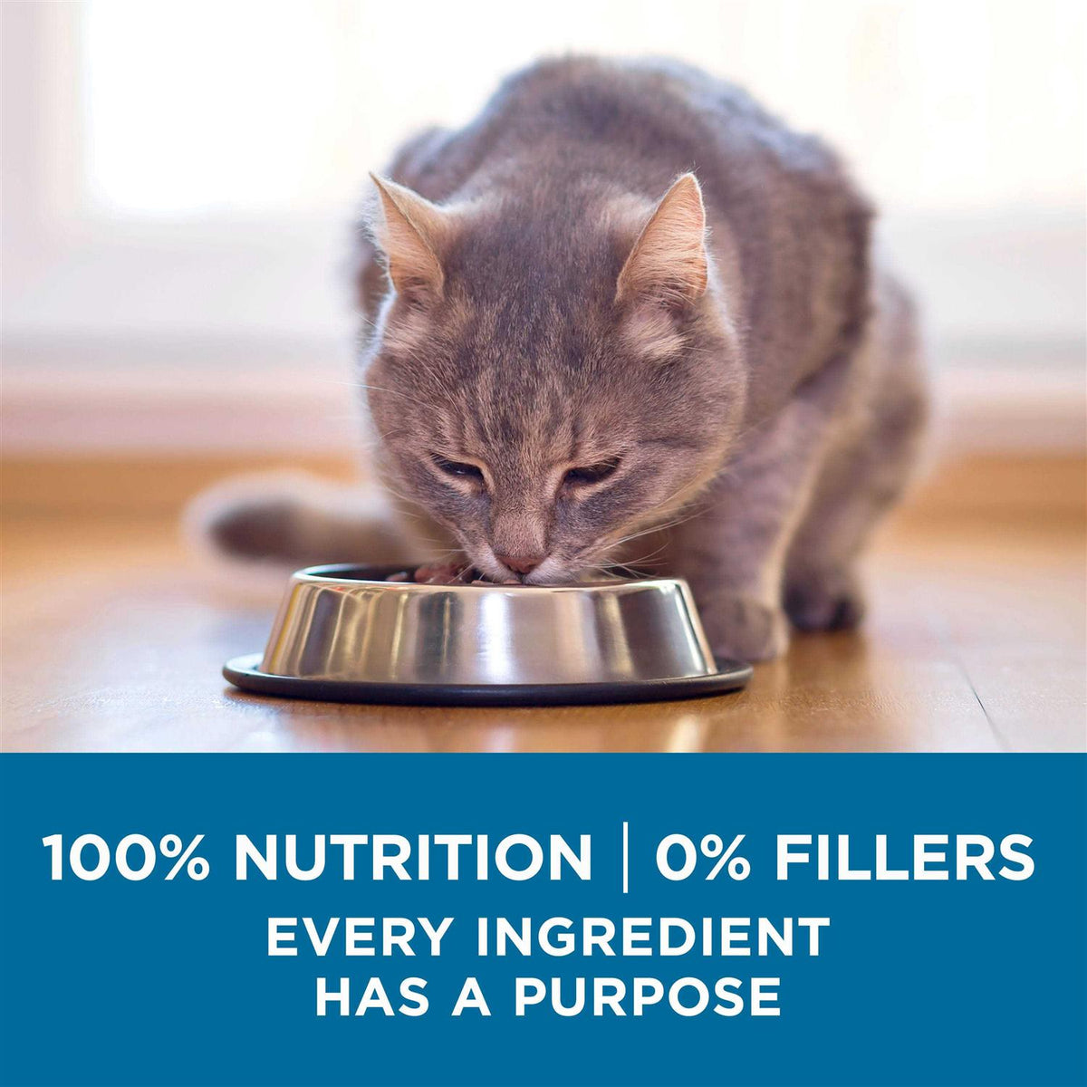 Senior Dry Cat Food W4729
