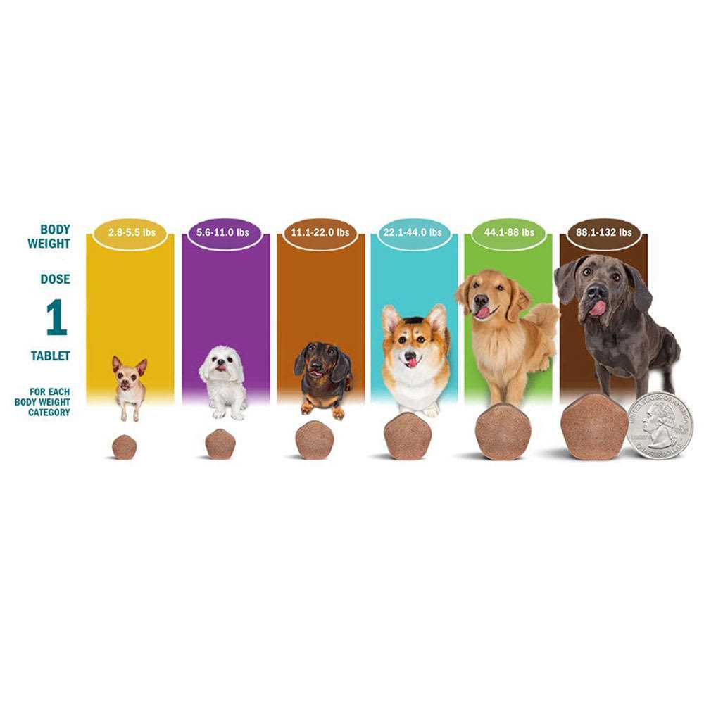 Simparica Trio Dogs I3741