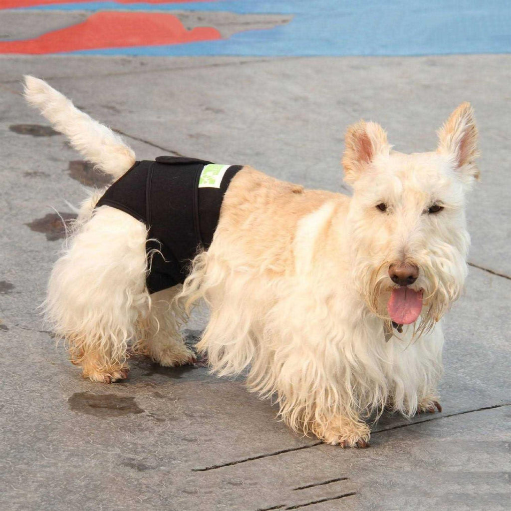 Dog Wrap U47309