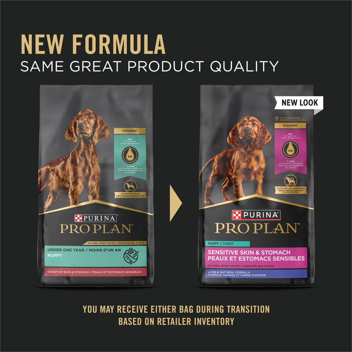 Sensitive Skin and Stomach Puppy Food Lamb and Oat Meal 24 lb. Bag G579431