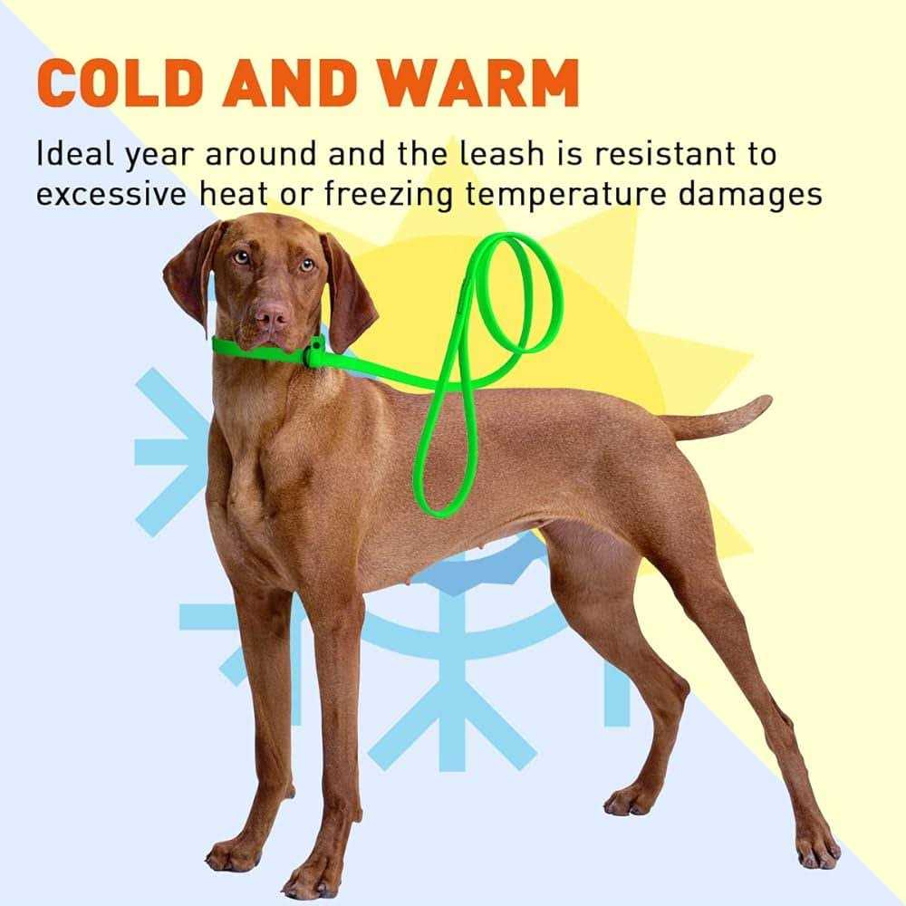 Biothane Slip Dog Leash Y134907