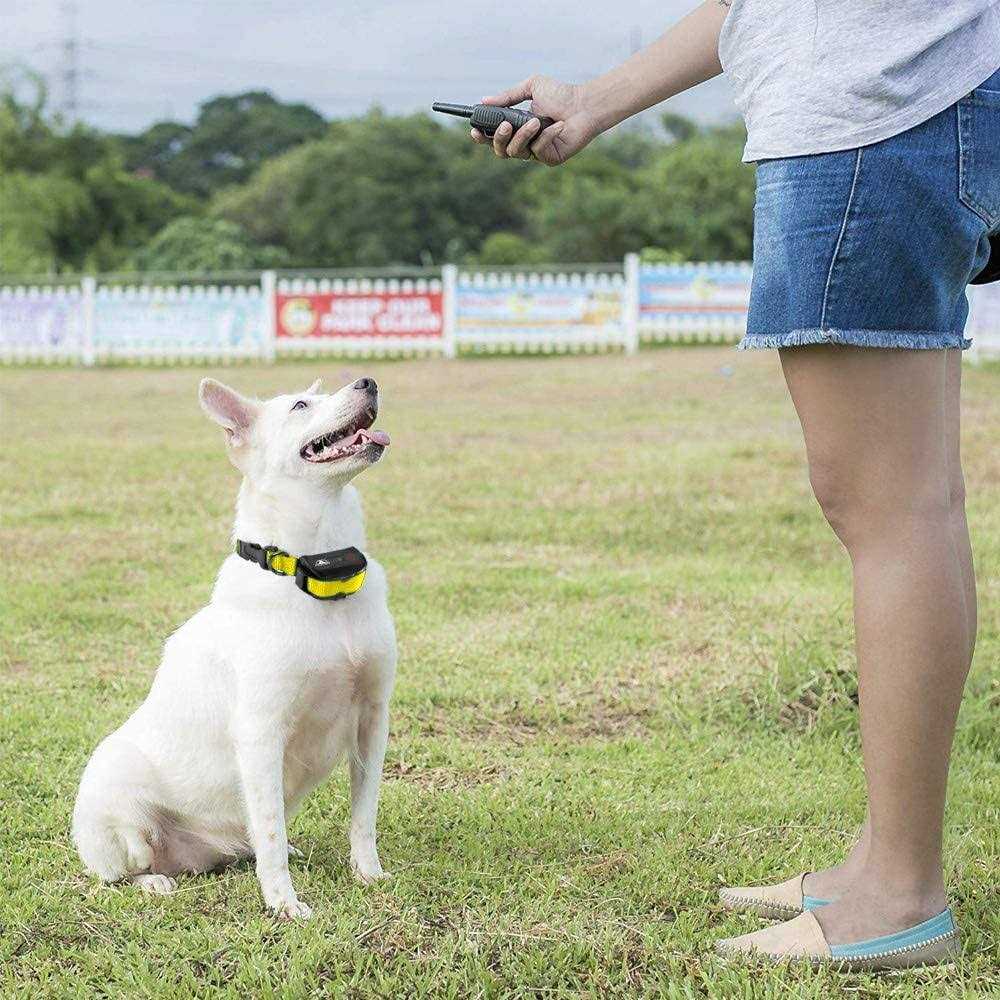 Dog Training Shock Collar with Remote Q34916