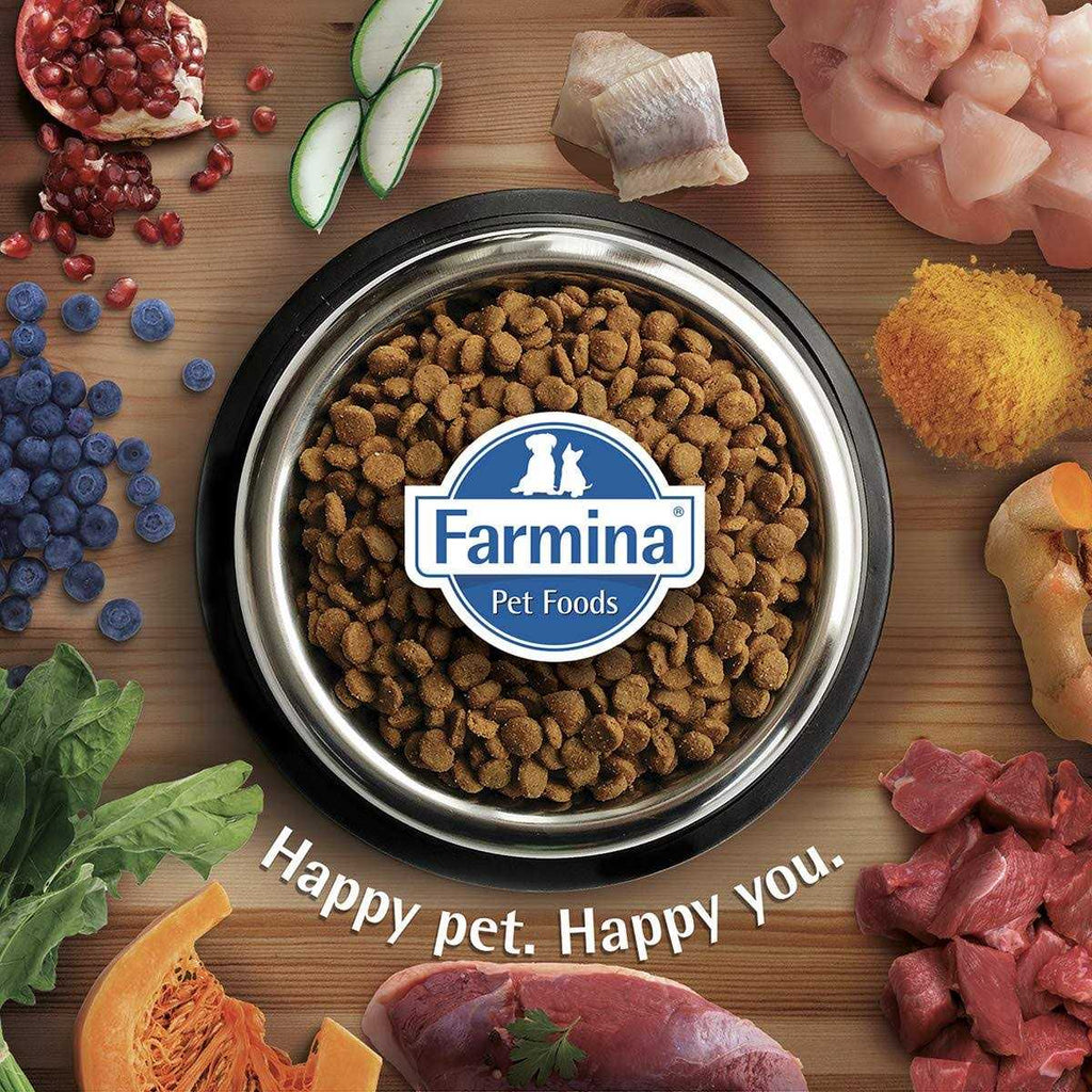 Chicken & Pomegranate Cat Dry Food B203937
