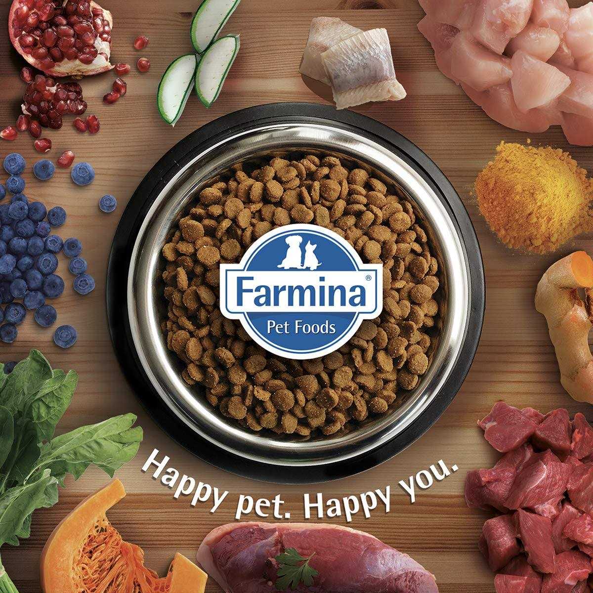 Chicken & Pomegranate Cat Dry Food B203937