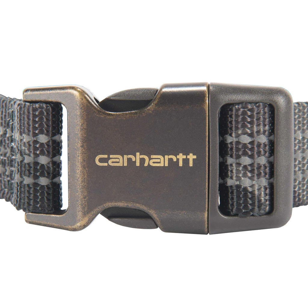 Dog Collar B170751