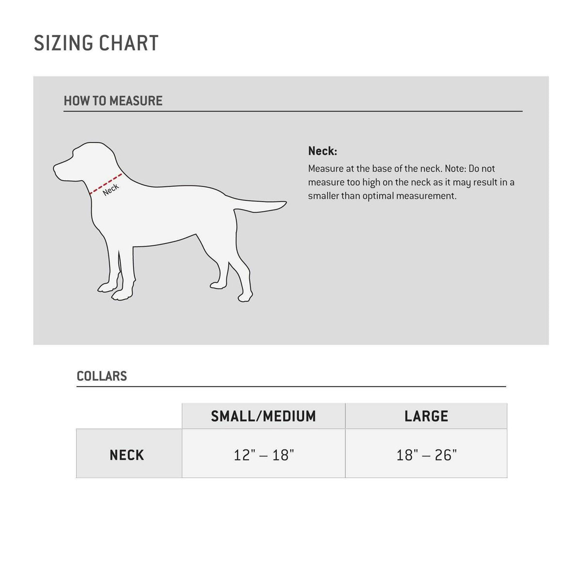 Dog Collar B170751