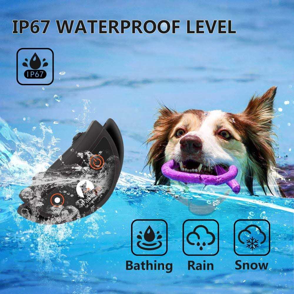 Dog Training Collar with Remote K26038
