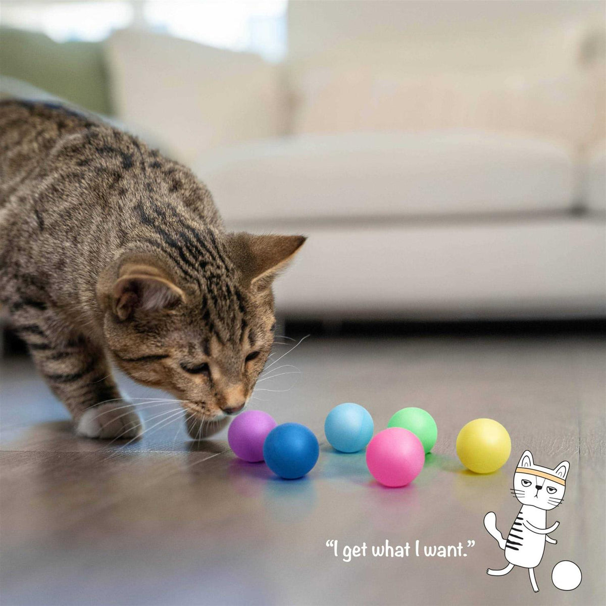 Replacement Balls for Cat Track Toy L6941