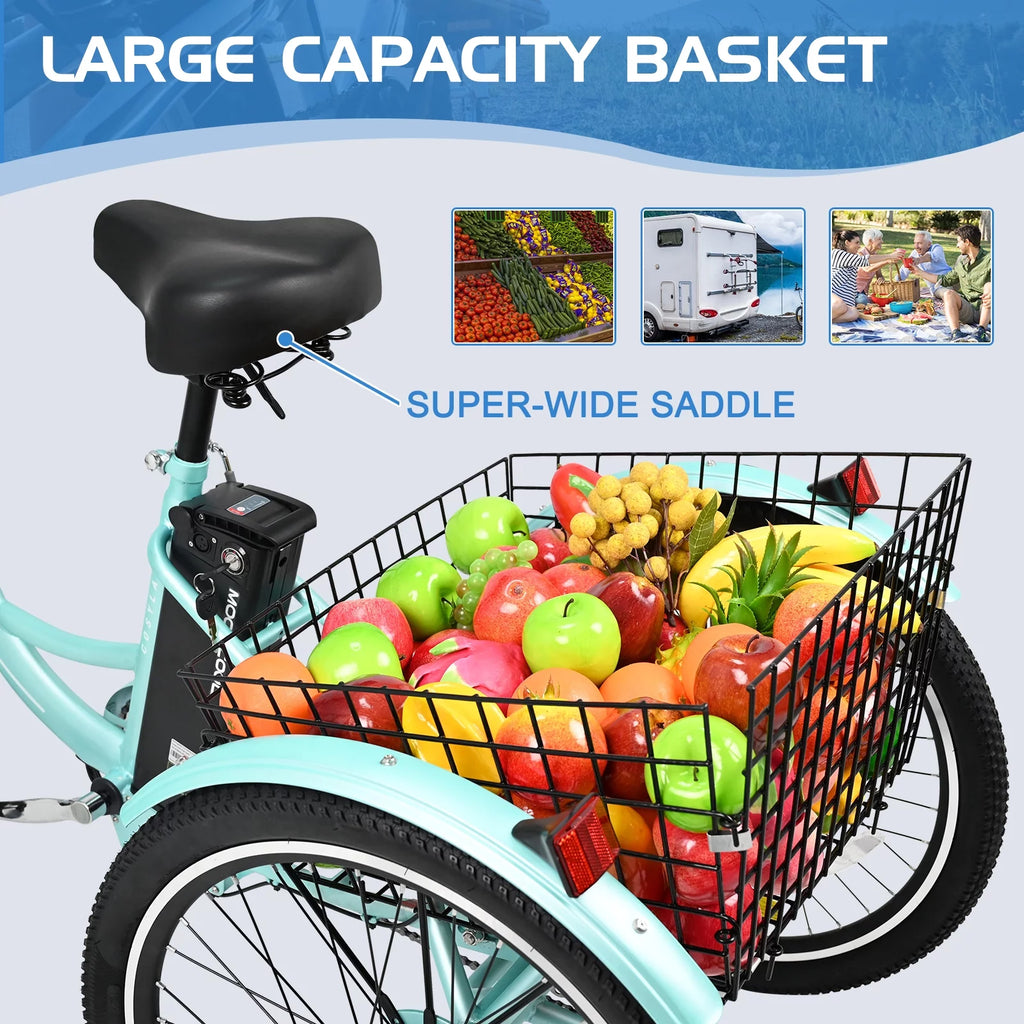 3 Wheel Electric Bike with Removable 36V 10Ah Lithium Battery D931526