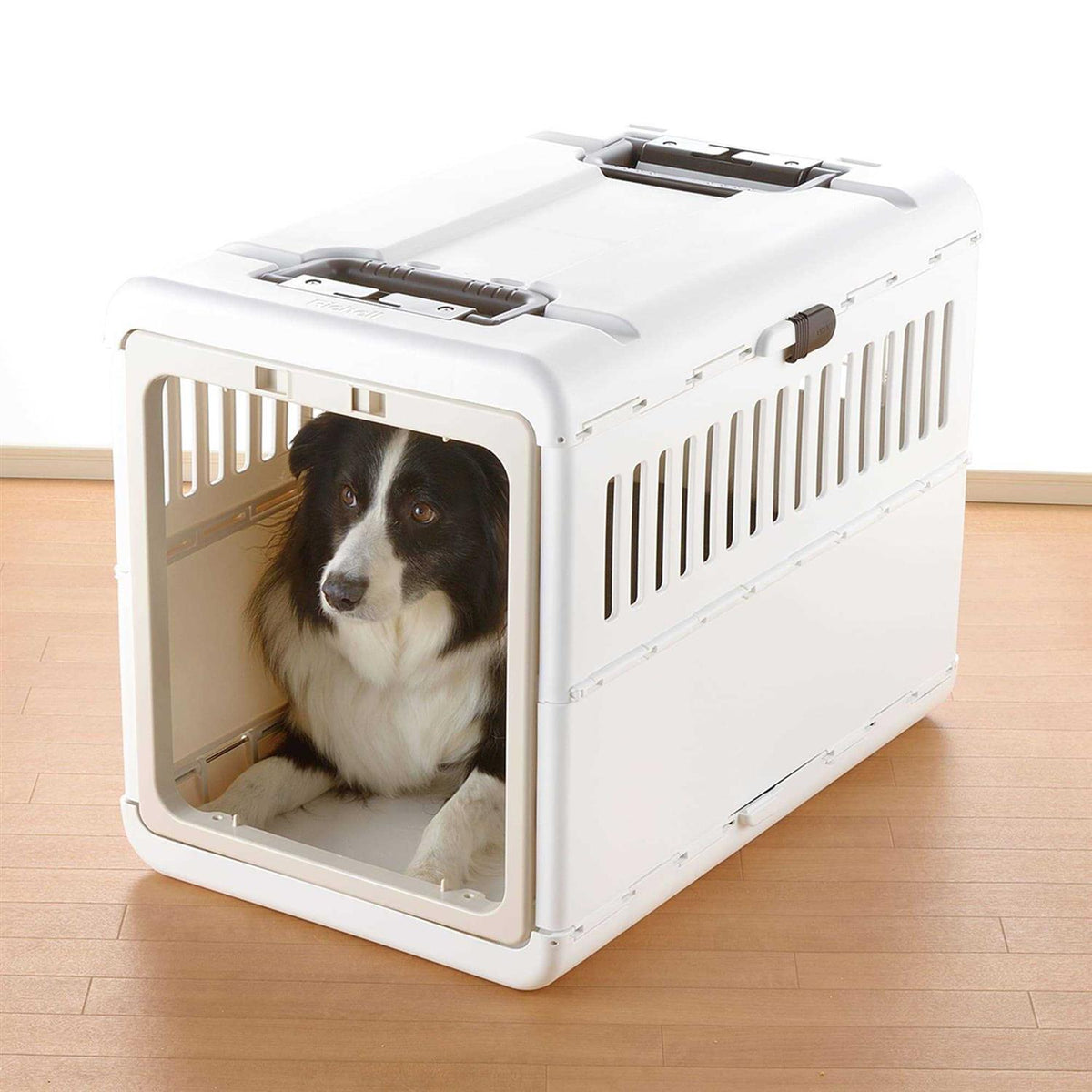 Foldable Pet Carrier Z638