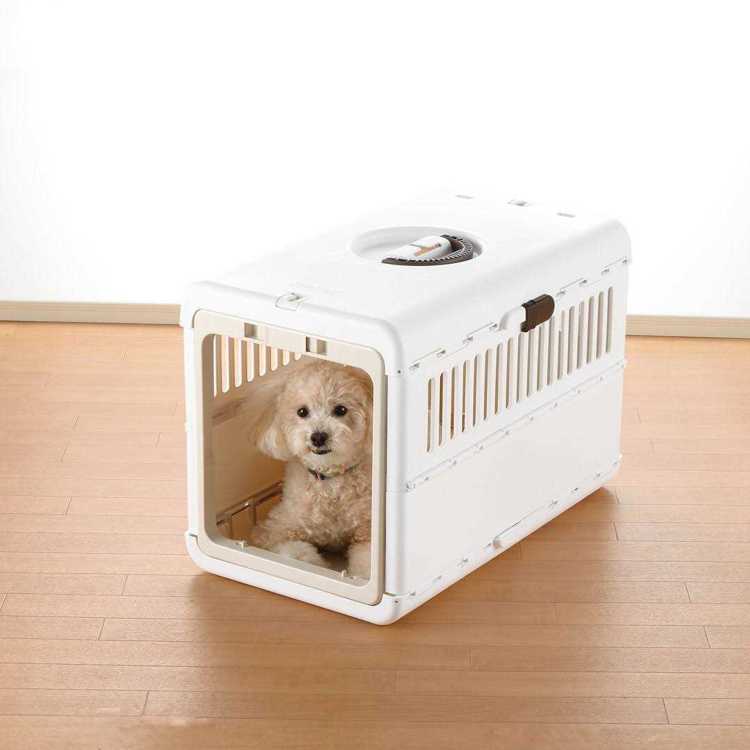 Foldable Pet Carrier Z638