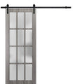 Frosted Glass Barn Door 30 x 80 Inches with Rail Hardware P306819