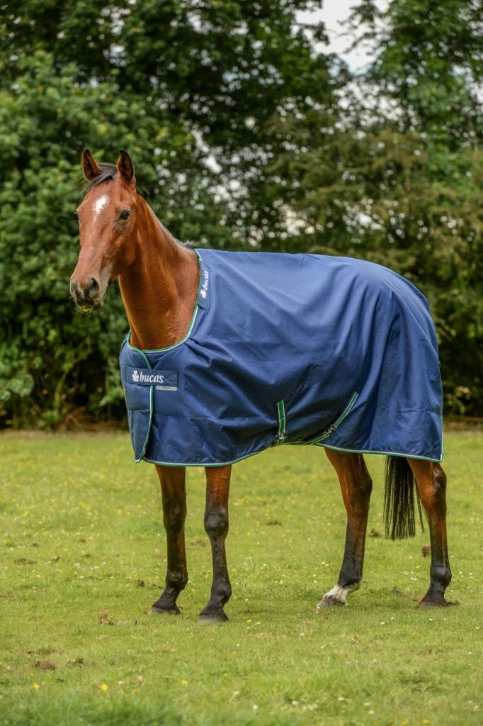 Blue Rain Sheet I496
