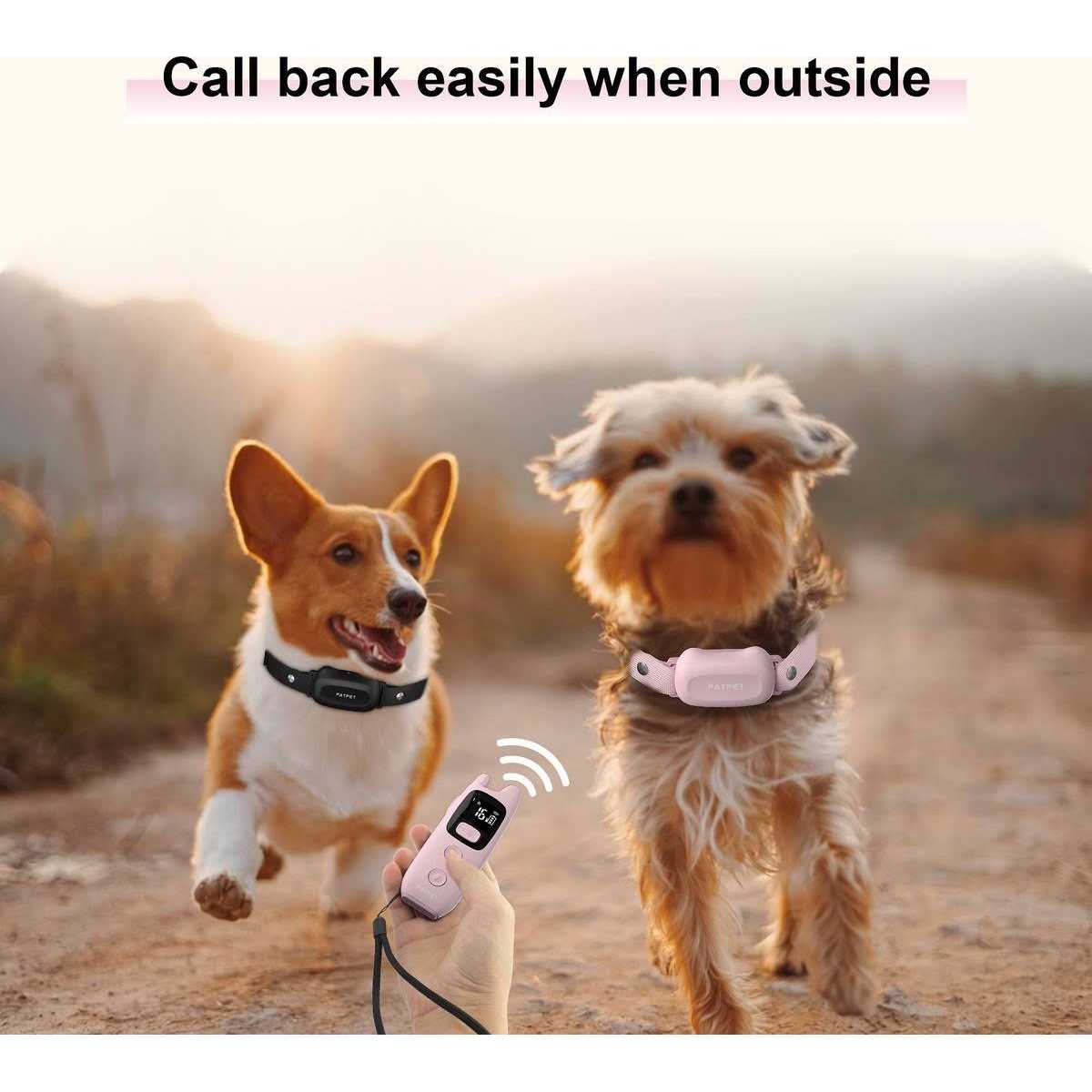 Remote Dog Training Collar S436