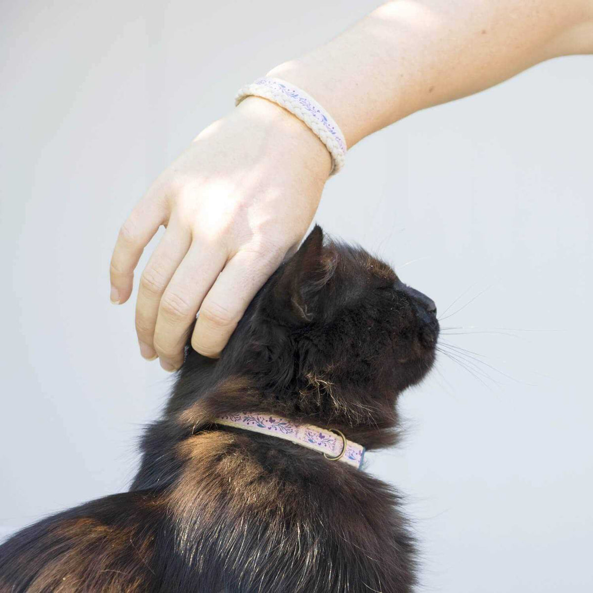 Cat Collar Breakaway D238506