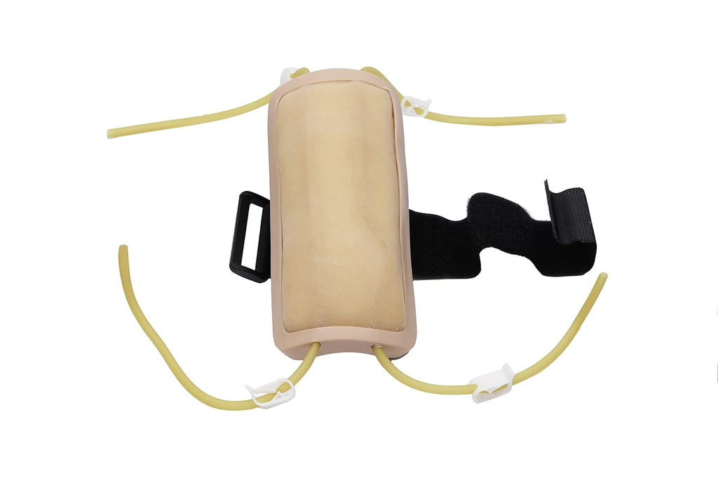 Phlebotomy and IV Practice Kit W806