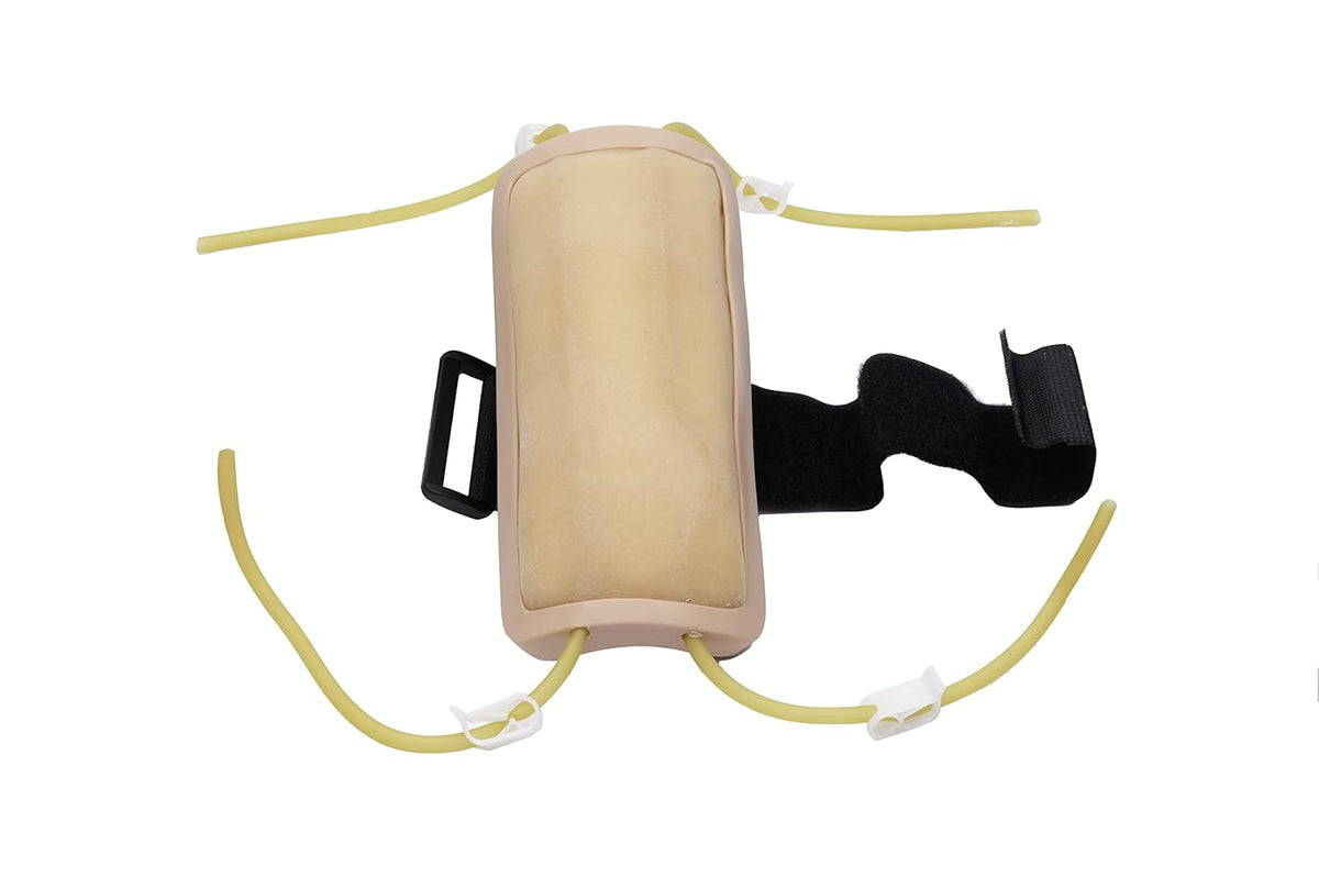 Phlebotomy and IV Practice Kit W806