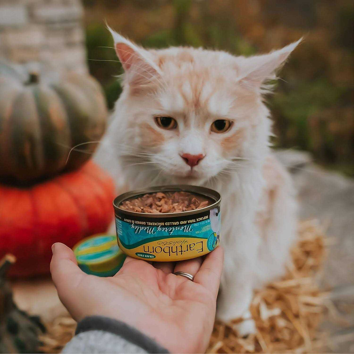 Monterey Medley Cat Food U587