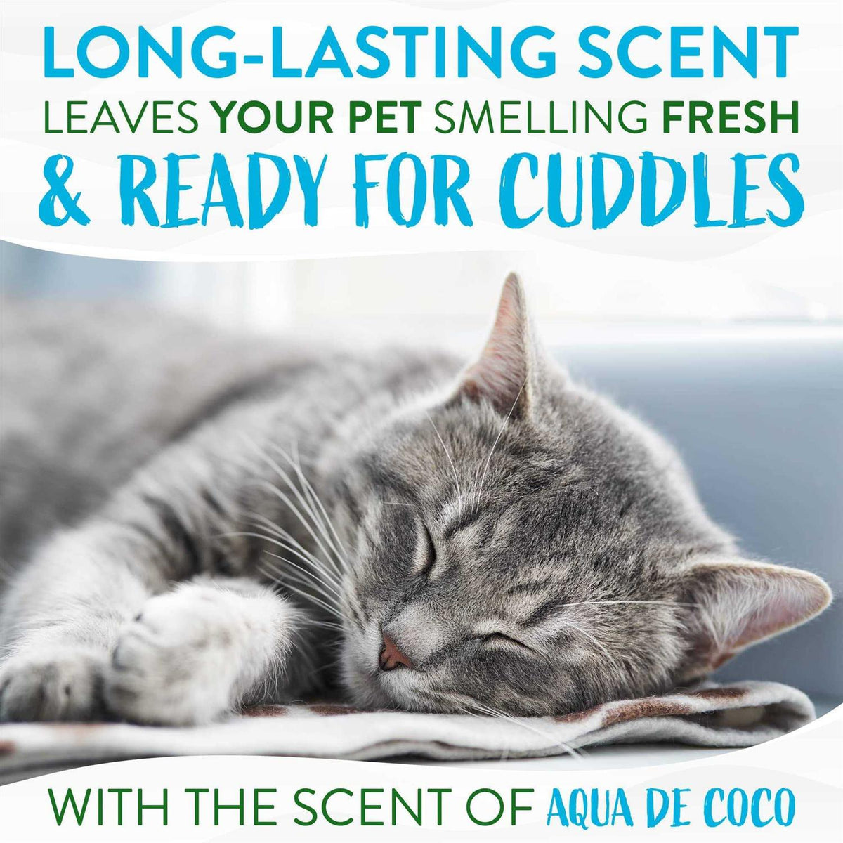 Waterless Cat Shampoo K55375
