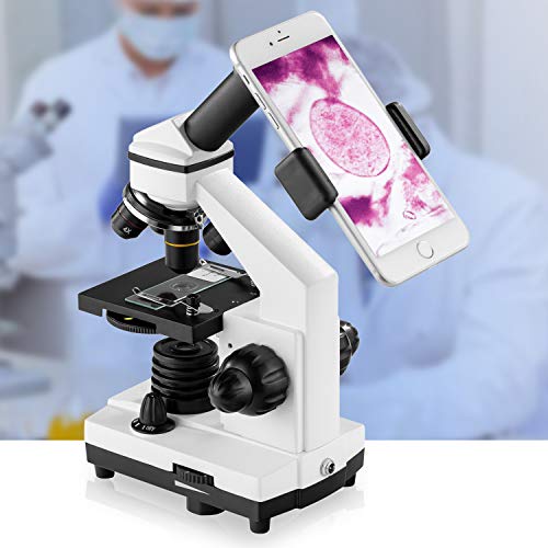 100X-2000X Compound Microscope with Microscope Slides A60401