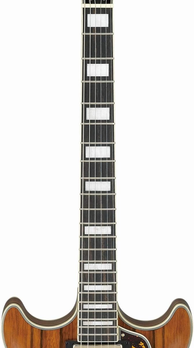 Macassar Ebony Semi-Hollow Body Electric Guitar O393