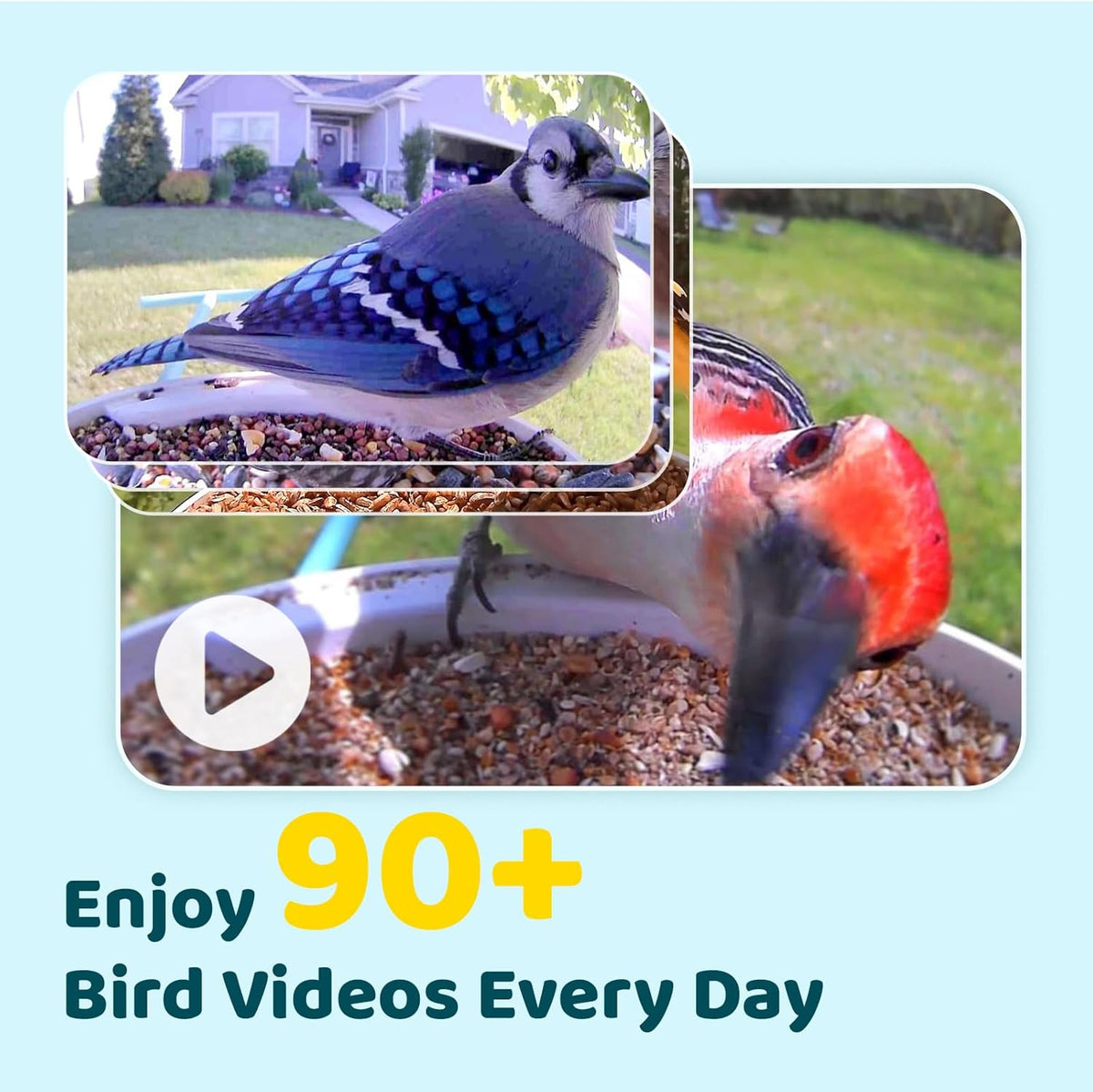 Smart Bird Feeder with Camera and Solar Panel W1140