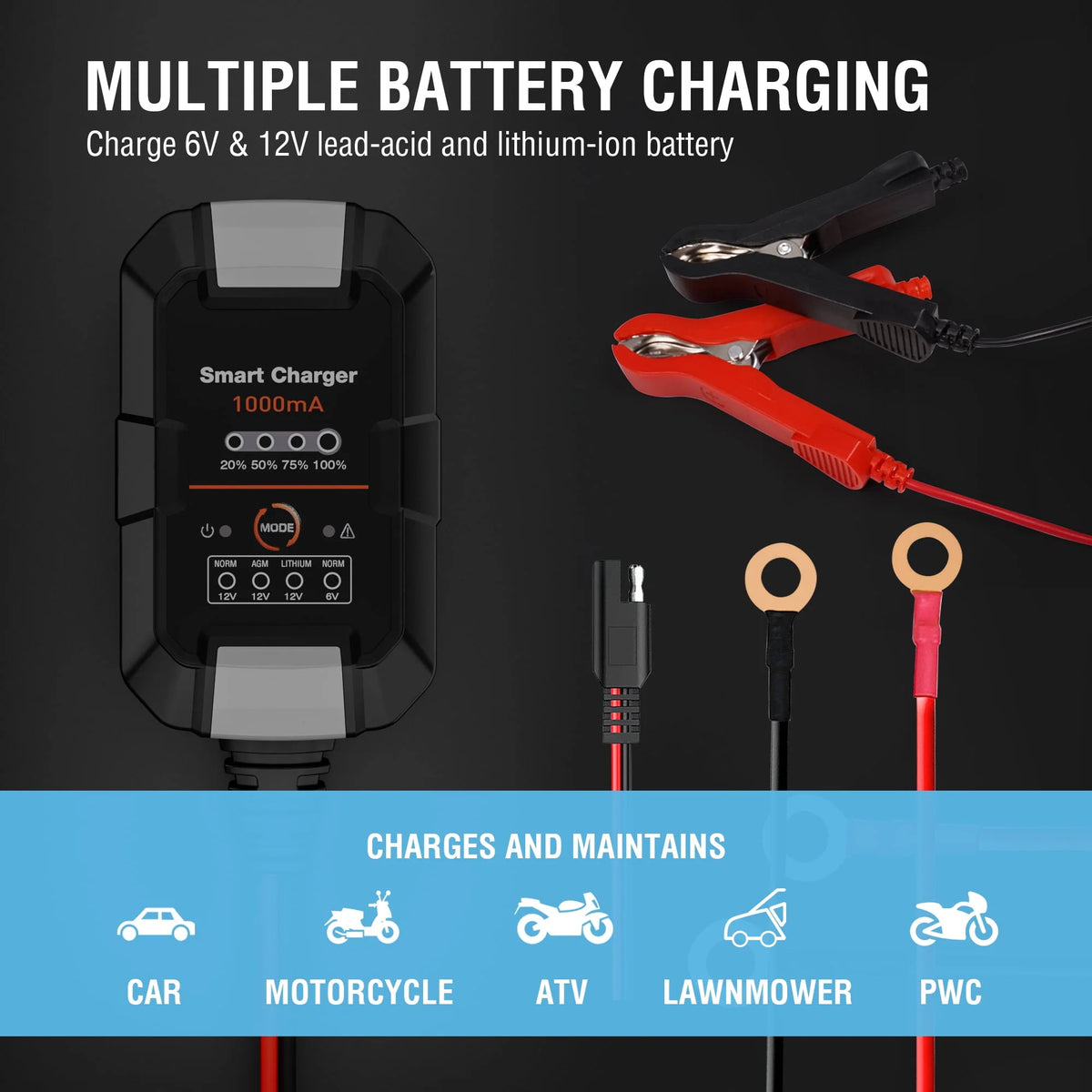 6V/12V 1A Trickle Charger Battery Maintainer I297