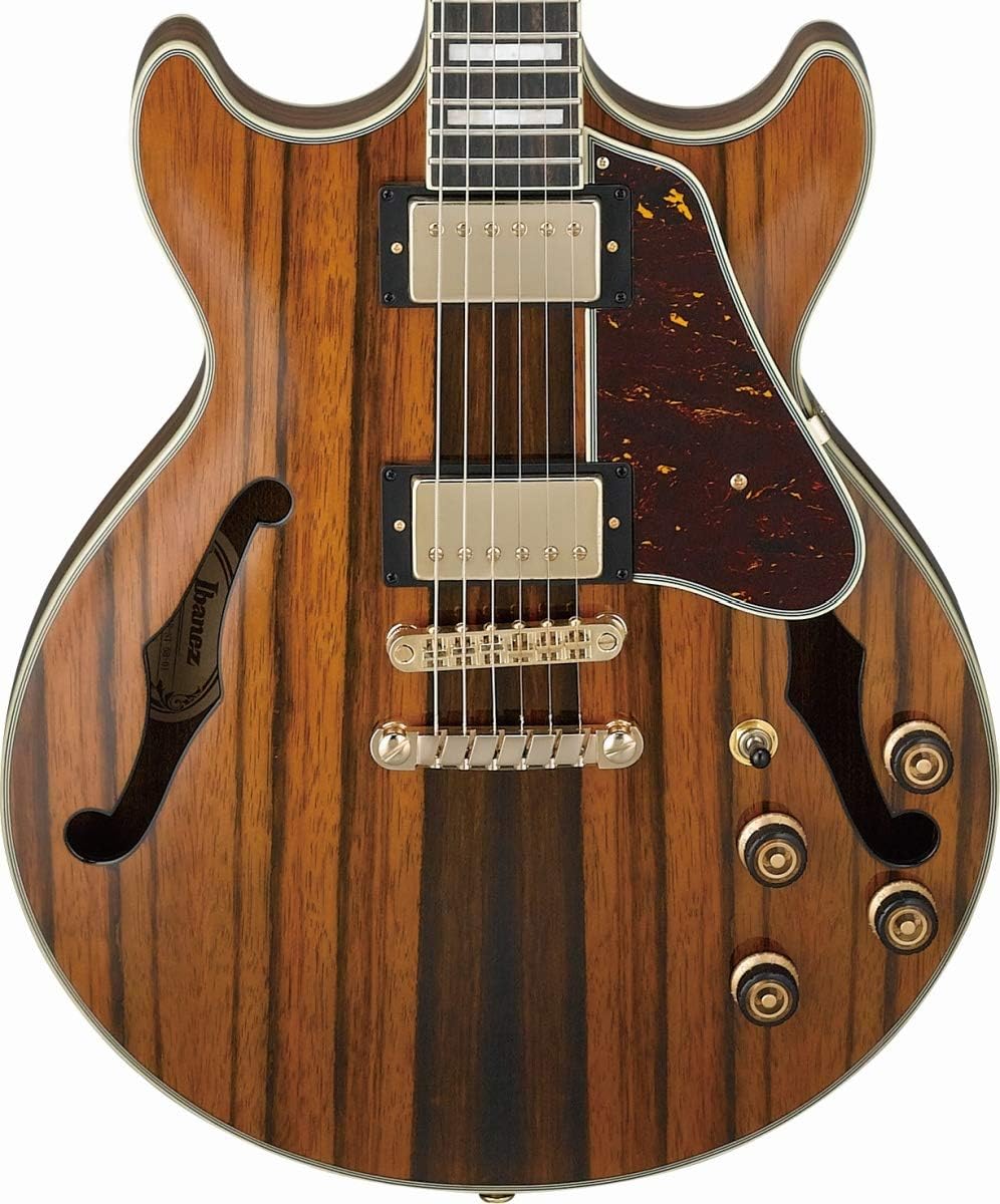 Macassar Ebony Semi-Hollow Body Electric Guitar O393