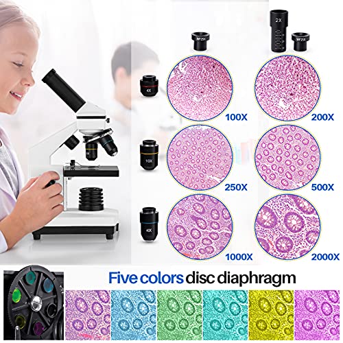 100X-2000X Compound Microscope with Microscope Slides A60401
