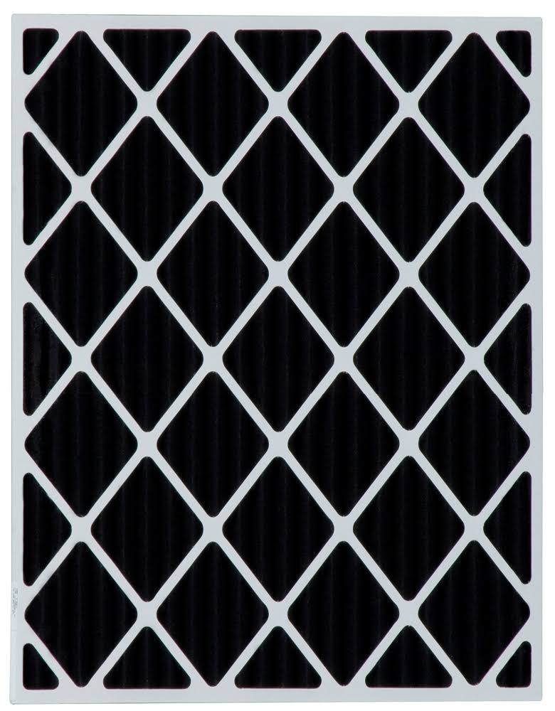 Carbon Odor Block Filter 29x29x4 D712