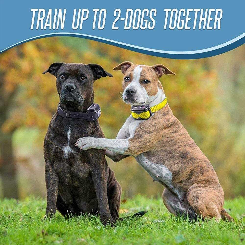 Dog Training Shock Collar with Remote Q34916