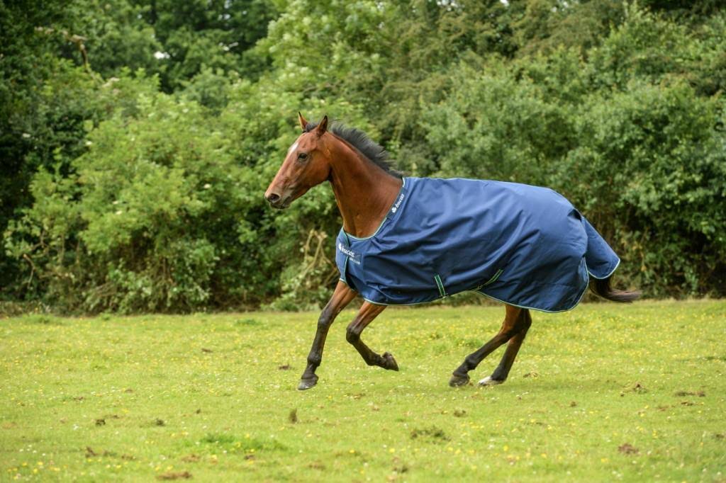 Blue Rain Sheet I496