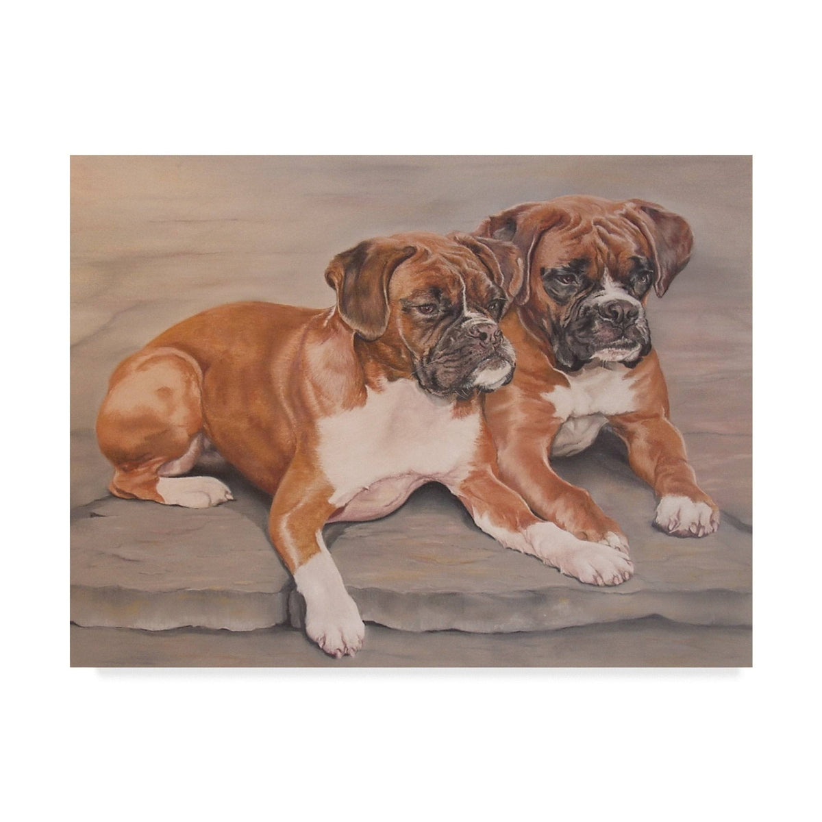 Two Boxer Dogs Canvas Art F6736