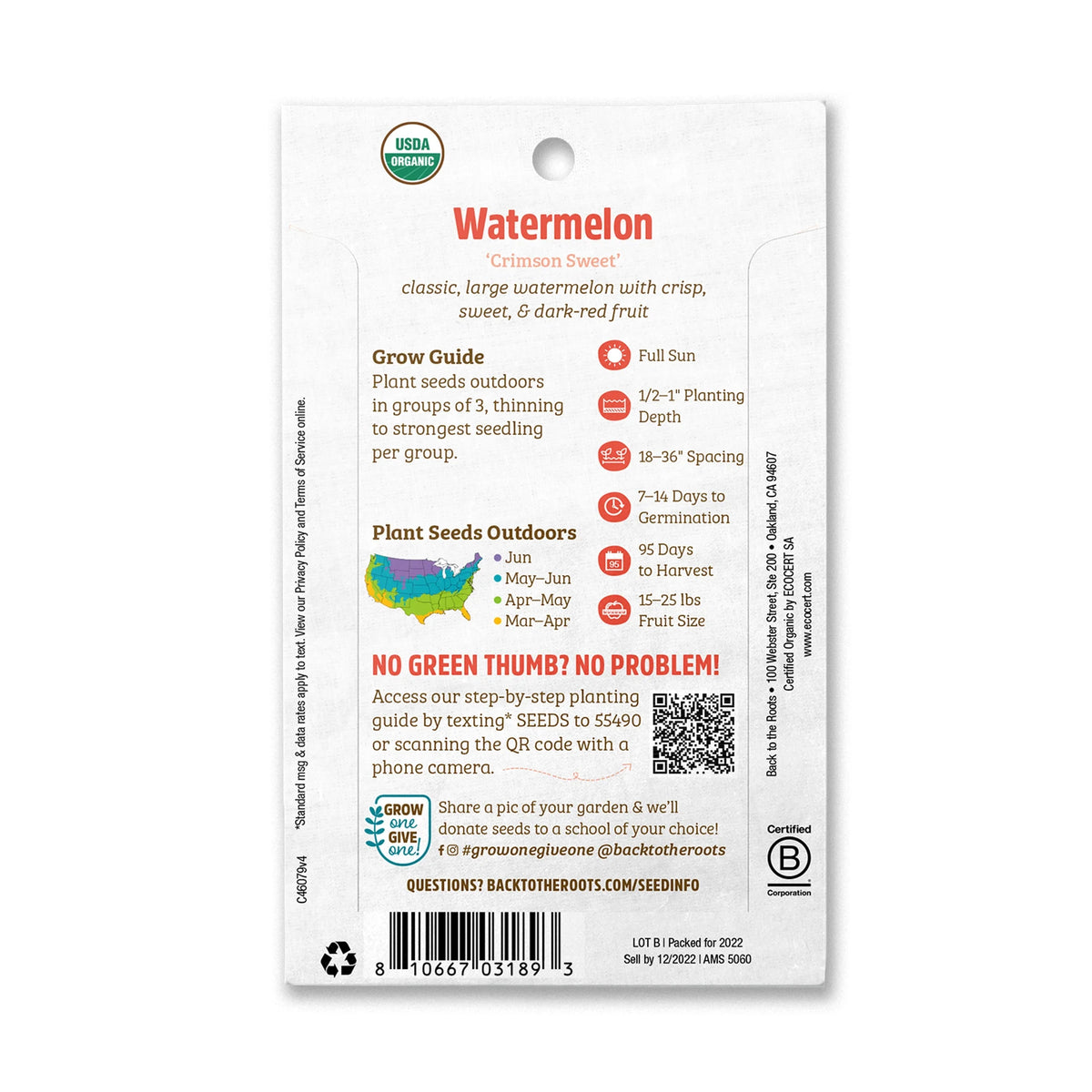 Organic Crimson Sweet Watermelon Fruit Seeds, 1 Seed Packet I137630
