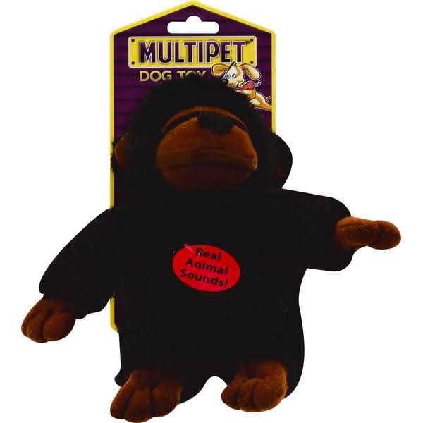 Talking Dog Toy R226