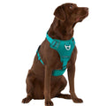 Neoprene Dog Harness Q274