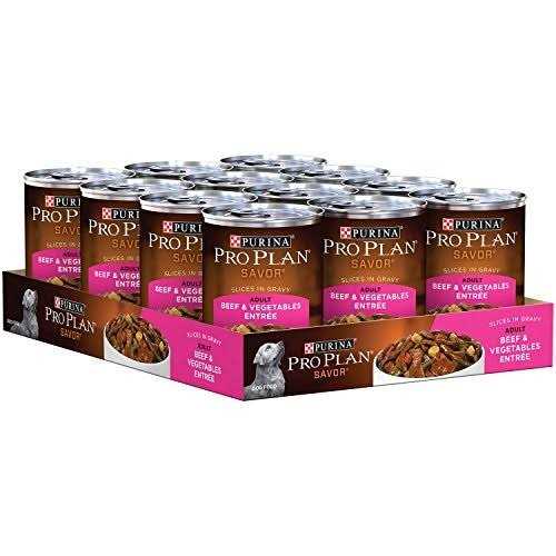 Beef & Vegetables Entree Adult Wet Dog Food V979