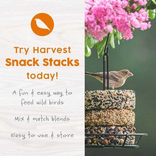 Mealworm Snack Stack Wild Bird Food O714901