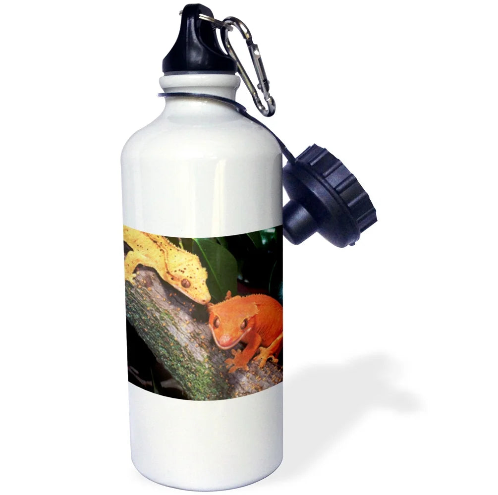 Straw Water Bottle, 21-ounce X833