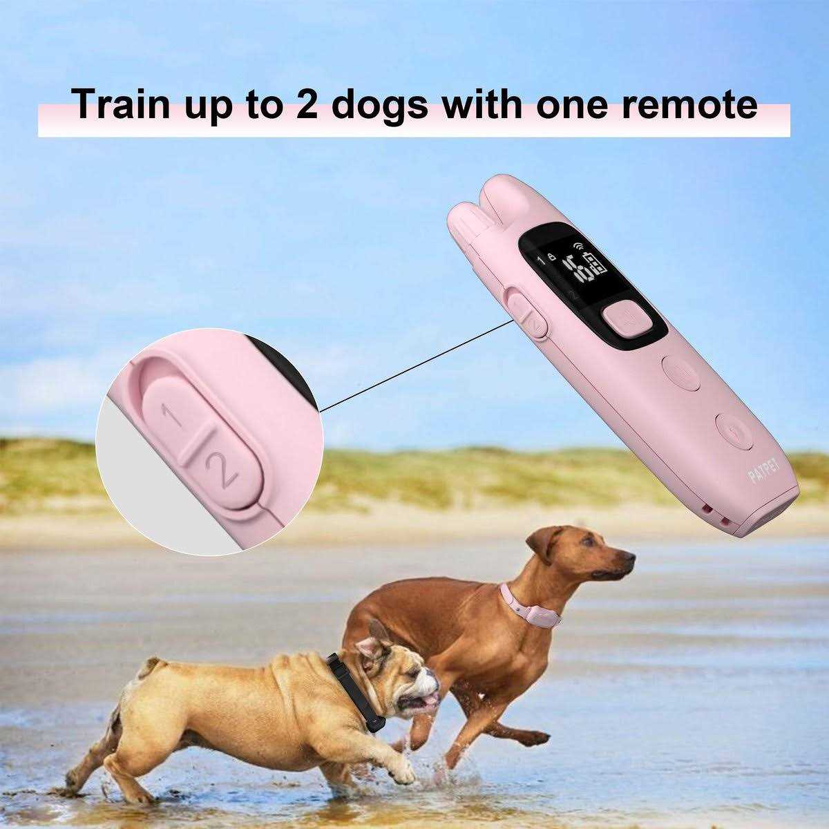 Remote Dog Training Collar S436