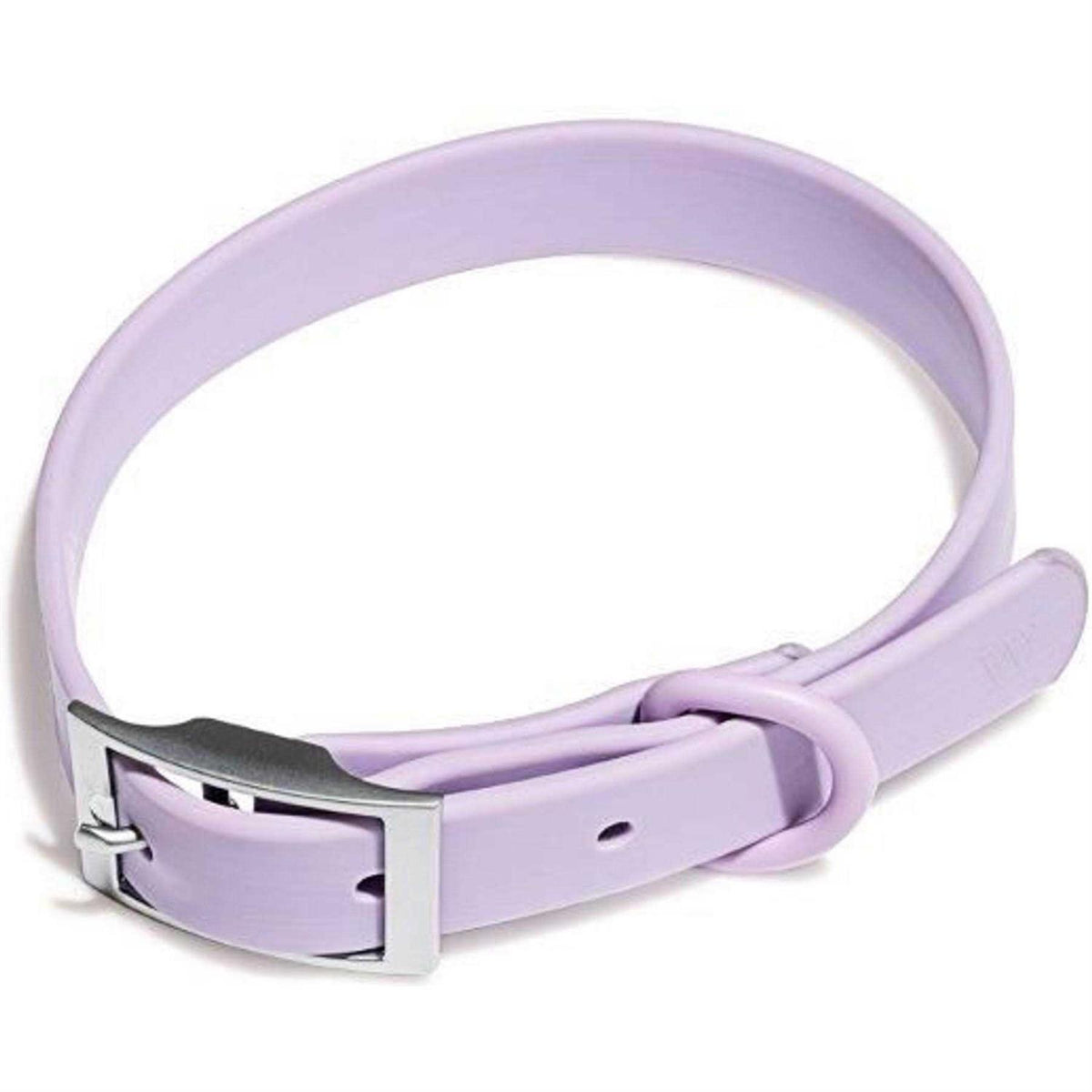Dog Collar F3424