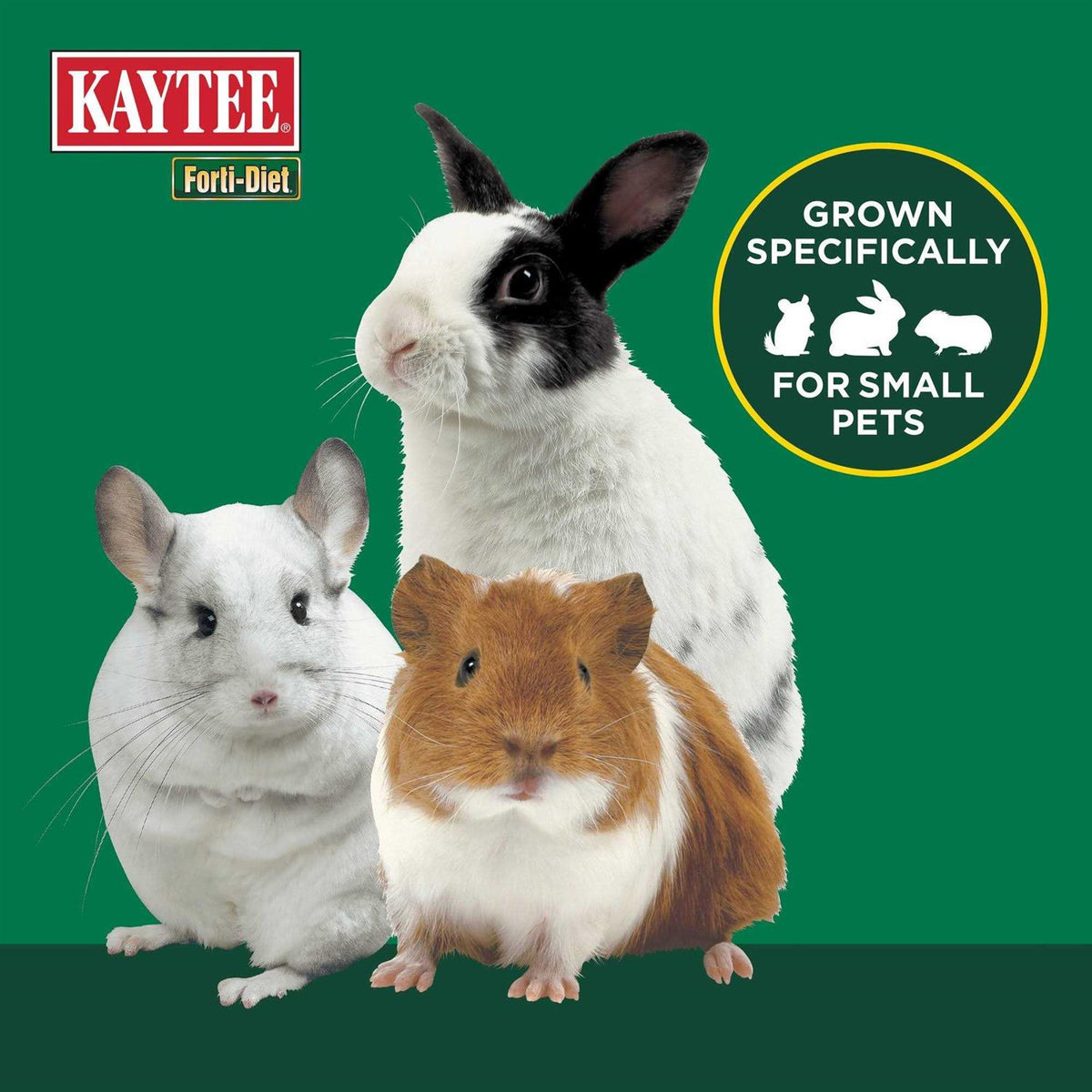 Timothy Hay for Small Animals Y900377