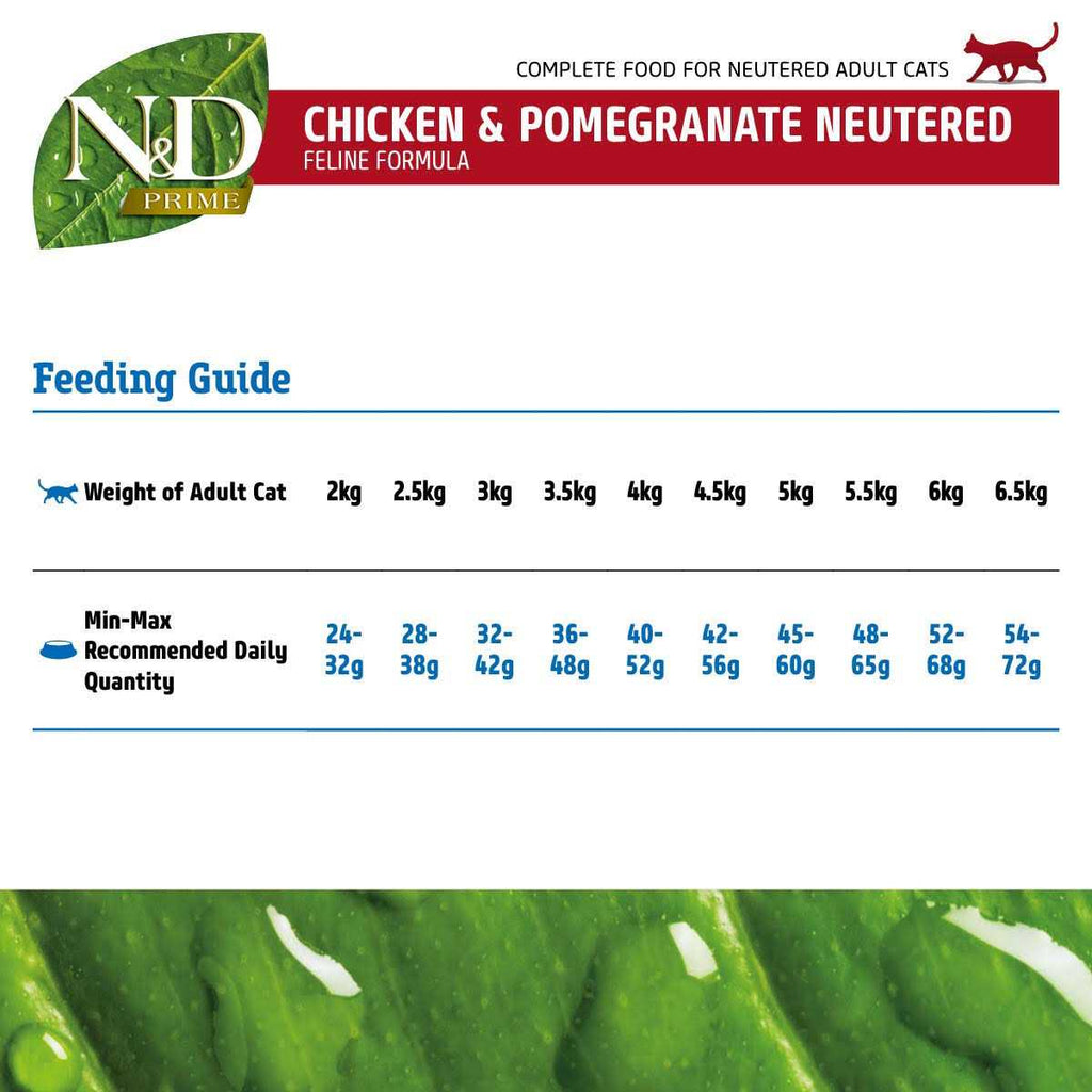Chicken & Pomegranate Cat Dry Food B203937