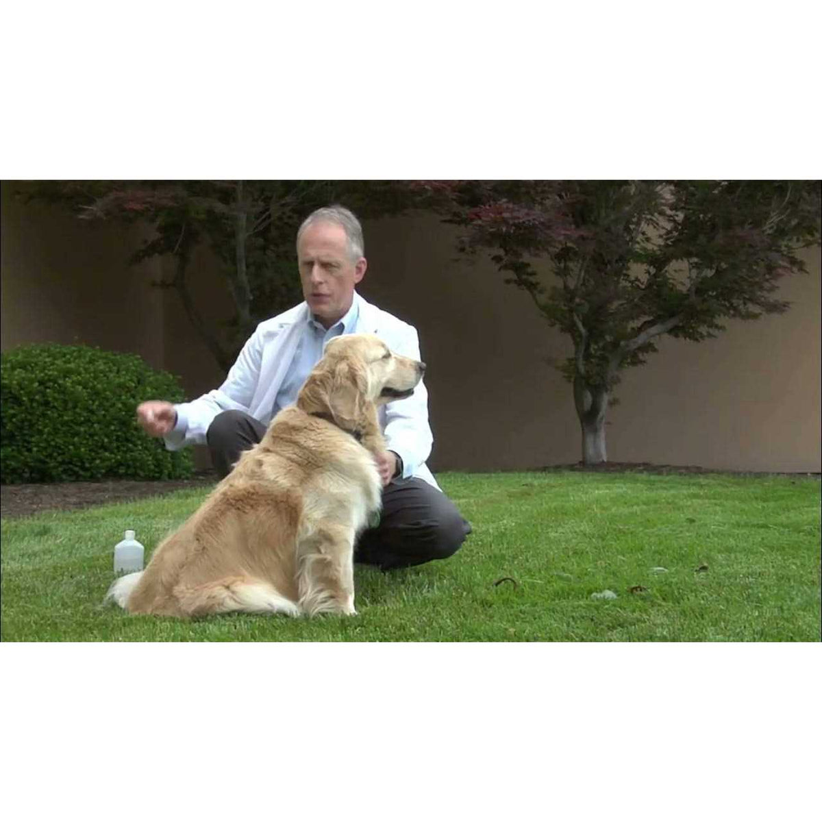 Dog Vaccine E46640